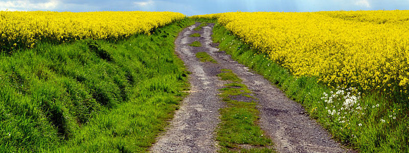 Erleben, Genie&szlig;en und Wohlf&uuml;hlen - Landhotel Th&uuml;rmchen